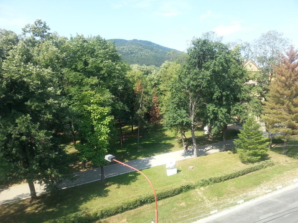 Park Srce Apartments Aranđelovac Værelse billede